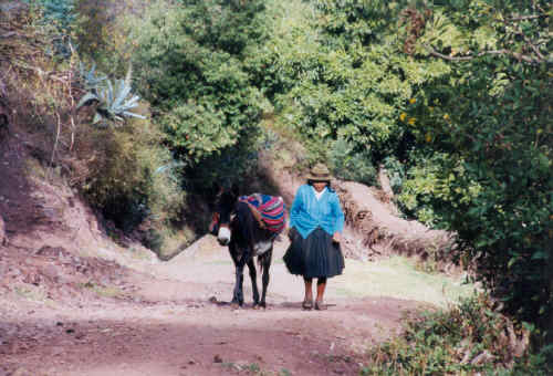 Peru-123.jpg (143161 bytes)