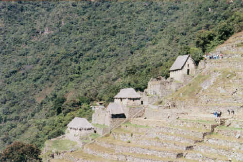 Peru-139.jpg (181696 bytes)