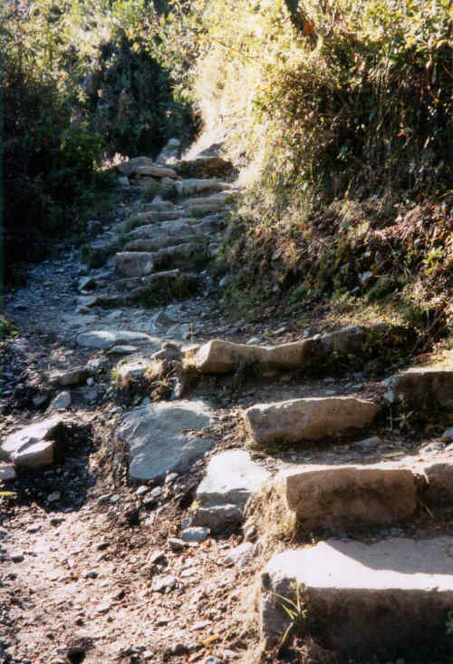 Peru-70.jpg (224047 bytes)
